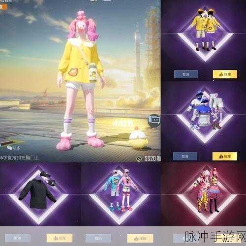 和平精英罗小黑套装价格及效果全解析