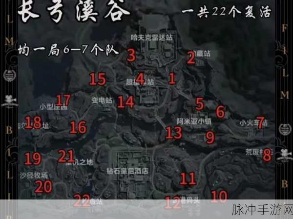 三角洲行动，哈夫币的深度解析与作用探索
