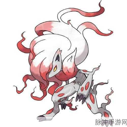 宝可梦大集结索罗亚克持有物选择深度指南