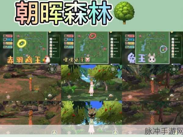 小森生活茁壮绯树采集全攻略，哪里最多与高效采集技巧