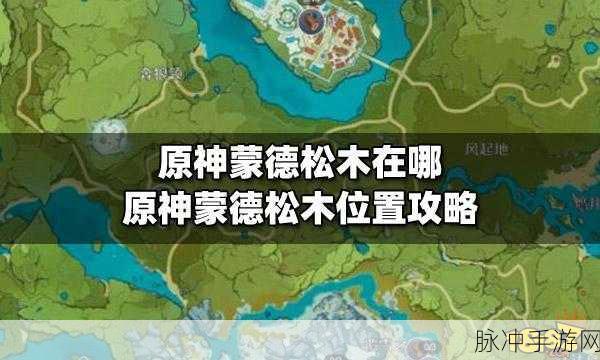 小森生活露桑松木采集攻略，位置与刷新时间详解