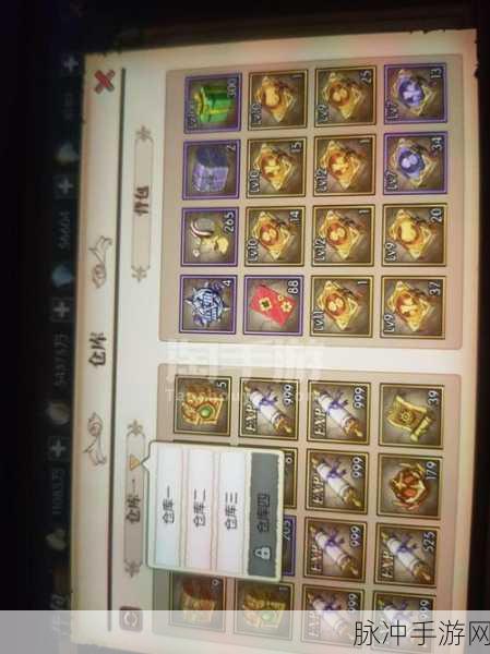 航海王燃烧意志金币获取全攻略，解锁财富之路