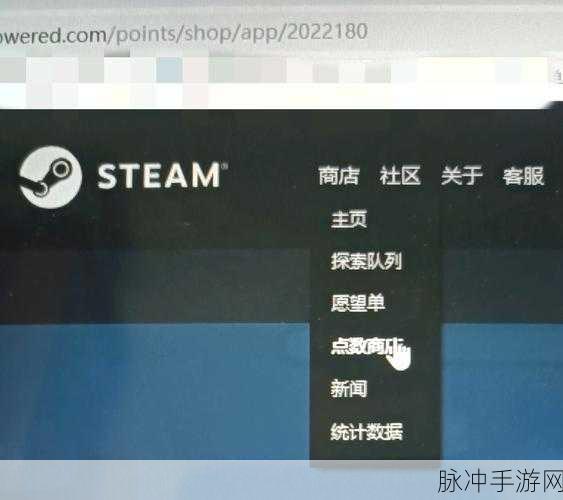 Steam 手机版头像更换难题全攻略