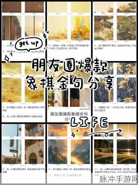 天天象棋第125关攻略详解，步步为营的策略制胜之道