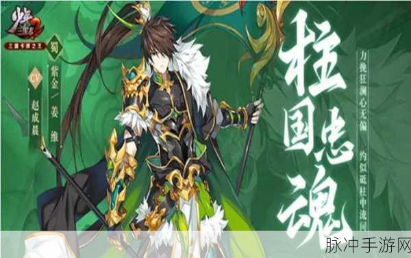 少年三国志2幻紫符的正确使用方式及策略全面解析