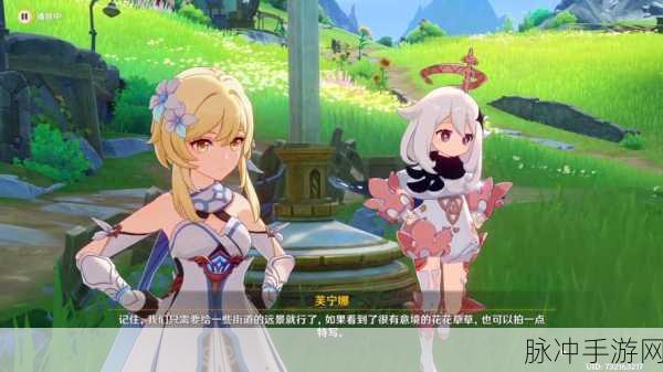 原神大招特写动画关闭方法详解，全面解锁游戏流畅度提升技巧