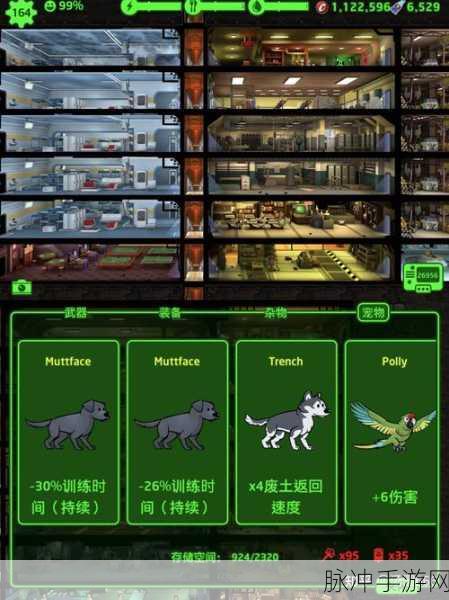 辐射避难所，打破生命值上限的终极秘籍