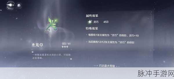 世界之外手游全部世界卡强度深度剖析
