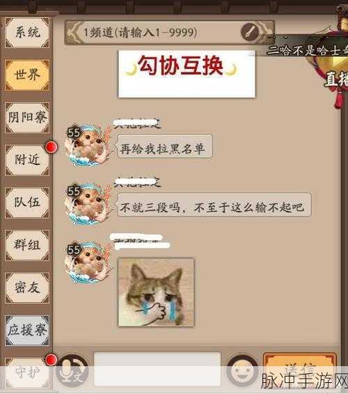 阴阳师竖屏聊天功能详解及关闭方法指南