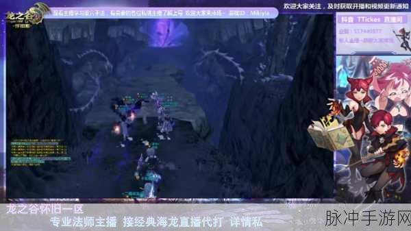 龙之谷手游攻略大全，元素挑战与天梯战斗策略深度揭秘