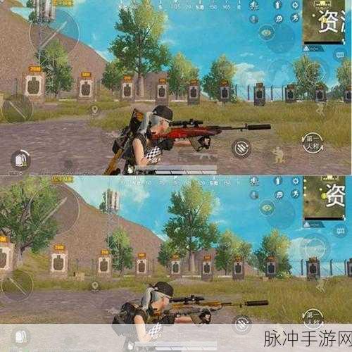 和平精英金玉无双皮肤全解析，尊贵与奢华的战场新宠
