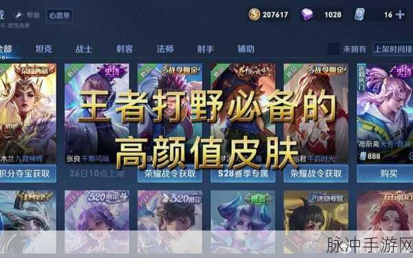 王者荣耀全传说皮肤深度解析与一览