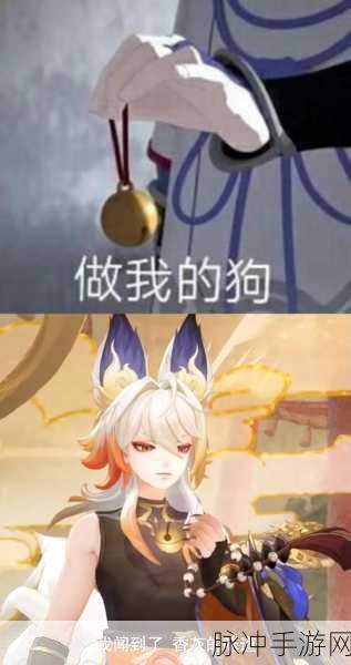 阴阳师手游，白藏主暗夜顽狐皮肤获得全攻略