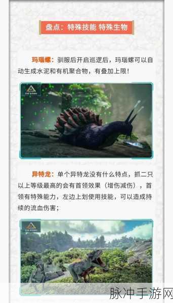 探寻手游中抖音商城缺失之谜与攻略秘籍