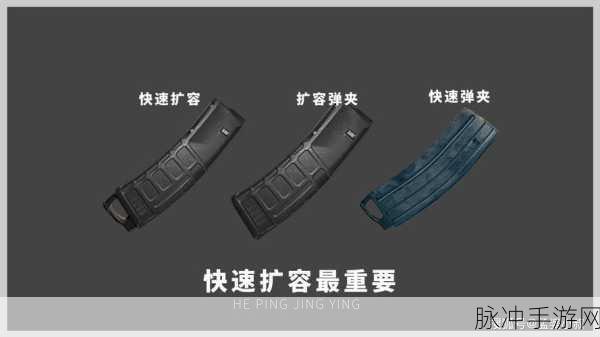 和平精英双弹夹bug怎么卡，双弹夹bug卡法深度解析