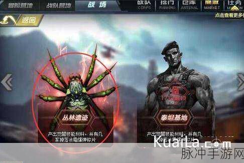 太极熊猫剧情BOSS白骨大帝挑战全攻略，深度策略与技巧揭秘