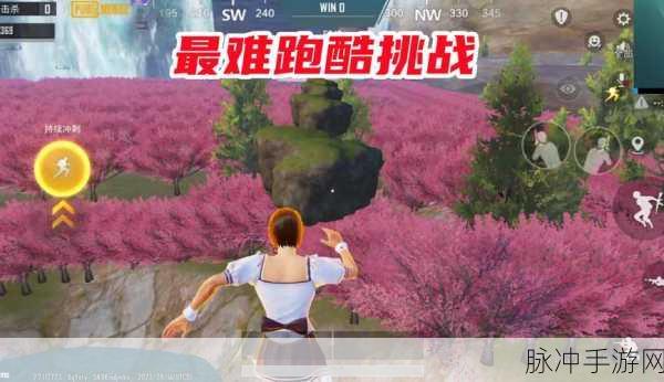 绝地求生刺激战场S3赛季深度解读，挑战与机遇并存