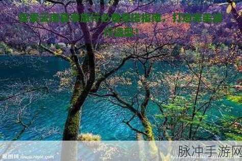 剑网3指尖江湖，聋哑村三大绝美风景点探索指南