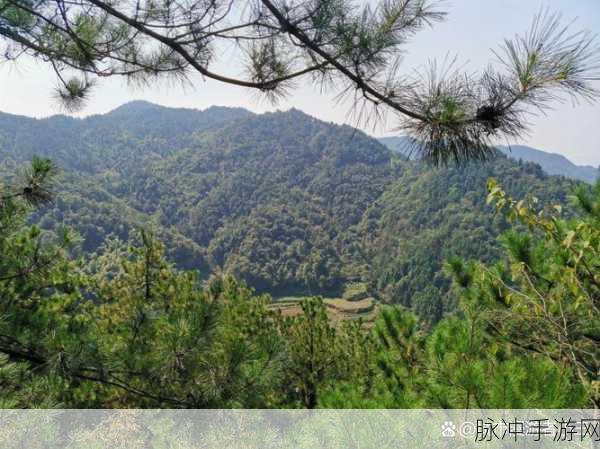 剑网3指尖江湖，聋哑村三大绝美风景点探索指南