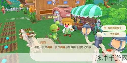 摩尔庄园手游，全面解析梅森的喜好与位置