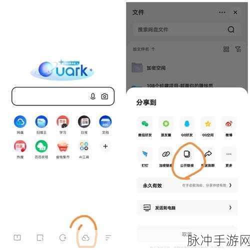 夸克网盘在手游数据管理中的应用，安全存储与密码保护