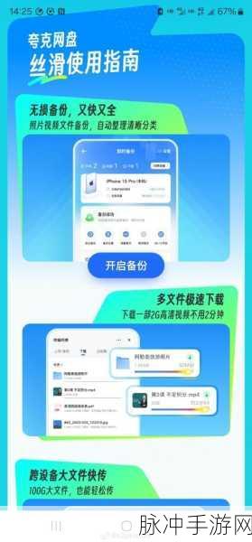 夸克网盘在手游数据管理中的应用，安全存储与密码保护