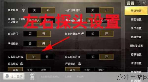 和平精英左右探头设置全攻略，提升你的战斗技巧