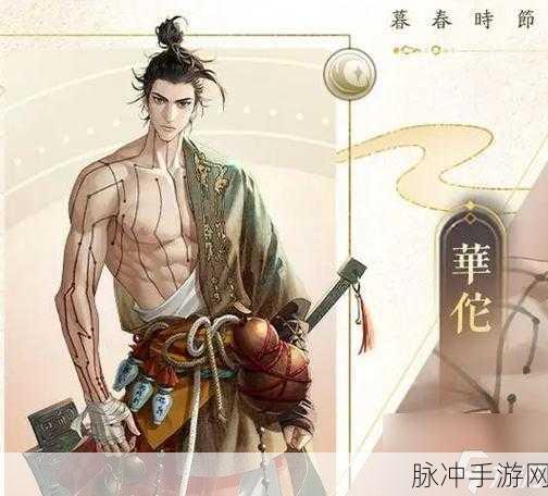 代号鸢华佗攻略，深度剖析华佗玩法，解锁游戏制胜策略
