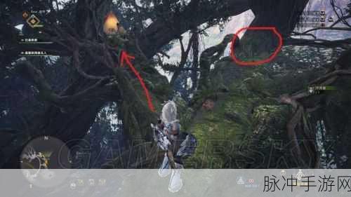 怪物猎人世界，电气袋获取全攻略