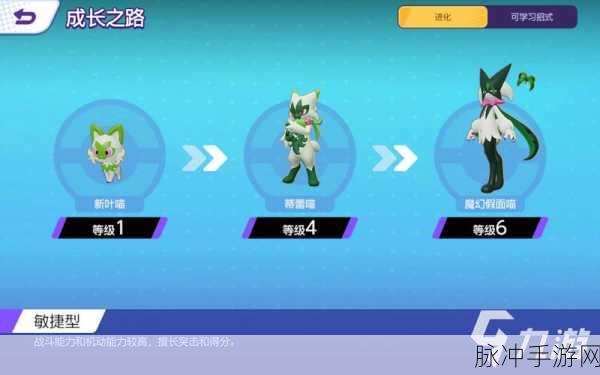 宝可梦大集结，小箭雀雀进化攻略详解