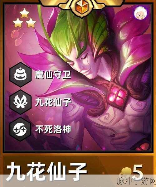 云顶之弈经验条深度解析，掌握升级节奏，制胜关键所在