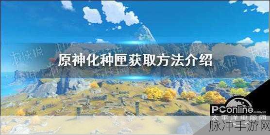 原神，获取化种匣的详细攻略指南