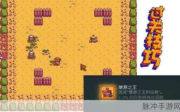 星露谷物语草原王游戏深度攻略，解锁过关技巧的全方位指南