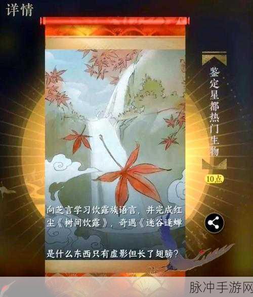 烟雨江湖禅武令获取全攻略，解锁你的武侠之旅