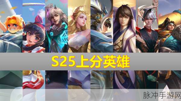 王者荣耀 S25 最强辅助英雄风云榜