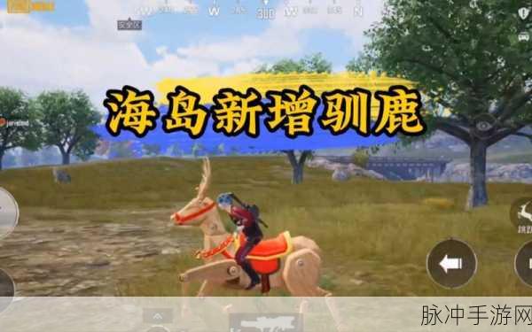 和平精英驯鹿车全攻略，位置与行进指南