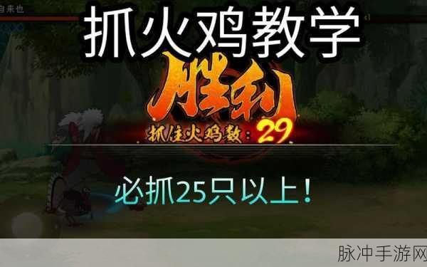 火影忍者手游，火鸡特训秘籍大公开
