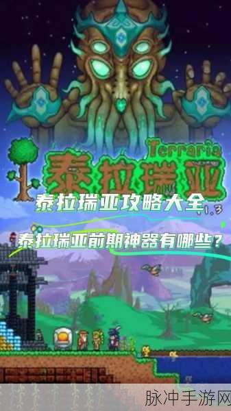泰拉瑞亚加速攻略，全面解析如何加快移动速度