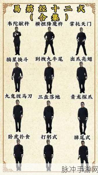 烟雨江湖易筋经修炼秘籍大揭秘