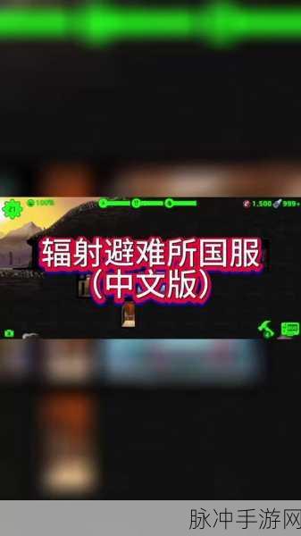 辐射避难所常见问题深度解析与解决技巧大全