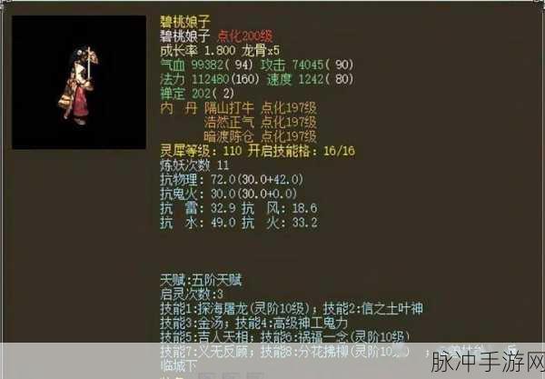 大话西游手游宠物技能全解析，打造无敌召唤兽的秘诀