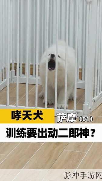 江南百景图哮天犬适合谁？深度解析哮天犬搭配攻略