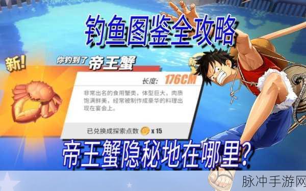 航海王热血航线钓鱼秘籍大揭秘，钓鱼技巧全解析