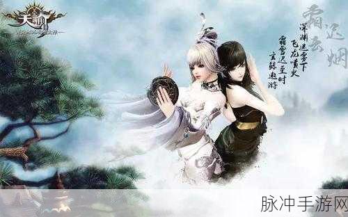 天谕手游守护星痕全攻略，揭秘生肖猪星痕位置