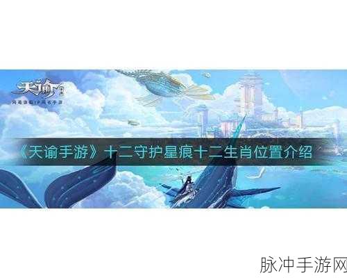 天谕手游守护星痕全攻略，揭秘生肖猪星痕位置