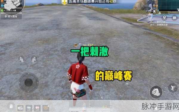 和平精英巅峰赛加入战队全攻略，解锁竞技新高度