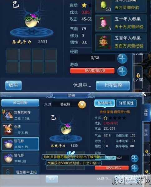新倩女幽魂灵兽附体加成提升攻略，全面剖析灵兽养成与能力加强策略
