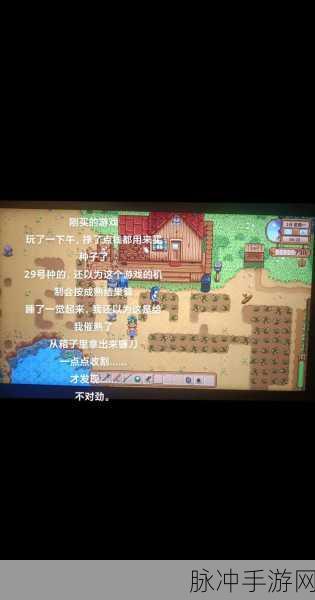 星露谷物语Steam联机全攻略，与好友共筑田园梦想