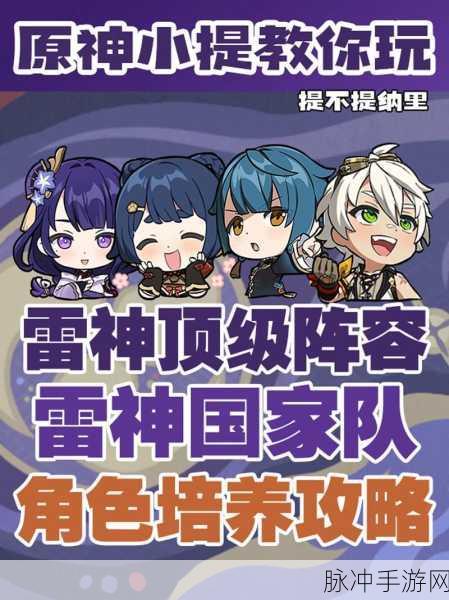 探索原神世界，尊重角色，享受游戏乐趣——关于雷神角色深度解析与游戏攻略