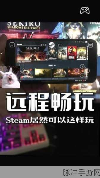 手机版 Steam 畅玩游戏的可能性及手游攻略大揭秘